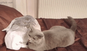 1410317109_1409986125_644160318.gif