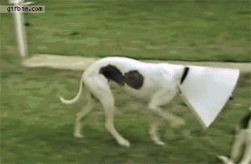1410787723_1410702171-79fffa61c38494307a019ef01b363211.gif