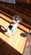 1410356316_1410289043-b1c0817159eb32bfc96bcc55b677b2cf.gif