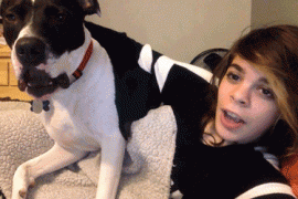 290689_748060.jpg.gif