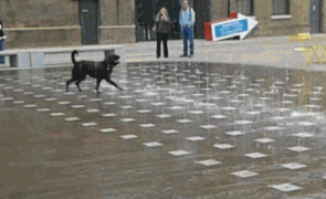 1411875547_26092014-gifki-gifki-smeshnye-gifki.gif