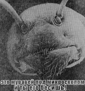 scyIwzaQ2Yg.jpg