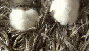 1410086109_1aa1bccbc00bdd0cafcf5685710.gif