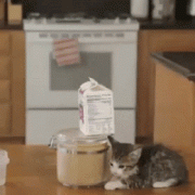 1411574620_3838932_01936661.gif