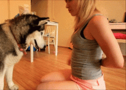 1411180418_gifs_16.gif