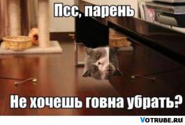 1410289643_cb50fad3373e117477db04d2161dc86b.jpg