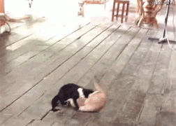 1410572071_xrlobmzf.gif