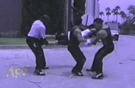 291184_750817.jpg.gif