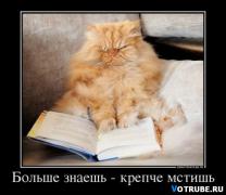 1409773940_28999678_bolshe-znaesh-krepche-mstish.jpg