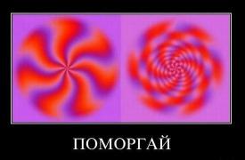 zHCVFzJhvSU.jpg
