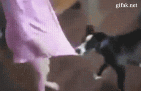 1410831931_1410595194-2fd05dab2335824444bc2fe8d324d530.gif