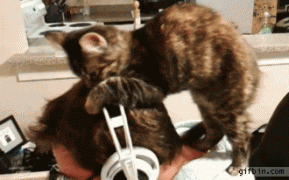 1410119311_944b319d33e06b51853ddcef029.gif
