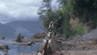 1410030515_1409819066-d2a30b6f0ab4dfec3c3753363b5b830c.gif