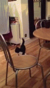 1410707013_767b6475478046e11e7dda6096ed2057.gif
