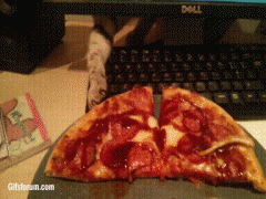 1410317096_1409994589_183187794.gif