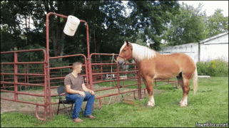 1410741398_q5lfm9sb.gif