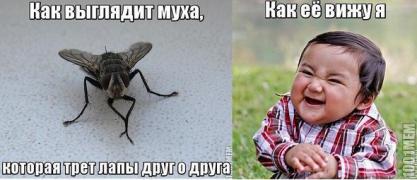 fecjKu4F7kE.jpg