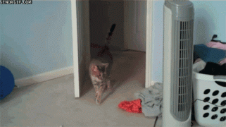 1410857450_290753_748563.jpg.gif