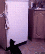 1410119314_515d4bf96db953b86134320f393.gif