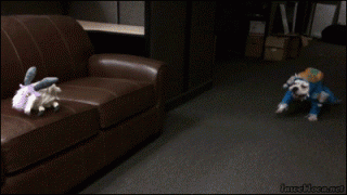 291224_751117.jpg.gif