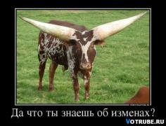 1410382046_90654378_da-chto-tyi-znaesh-ob-izmenah-molokosos.jpg
