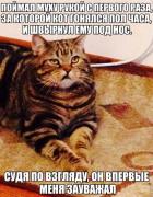 YXrPI3G6VG4.jpg