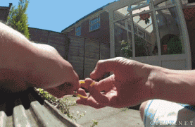 1410787685_b0f649a7079dd3fae6bd964bcdf.gif