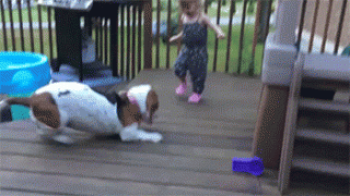 1410741443_gifs_08.gif