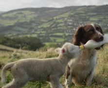 1410594092_9cb754a86348a70f9a82440aa7e.gif