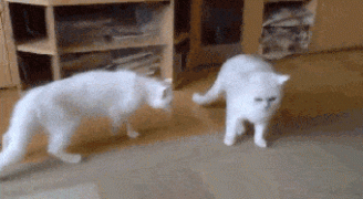 1410119282_97fd5bd2efc86c249978840144a.gif