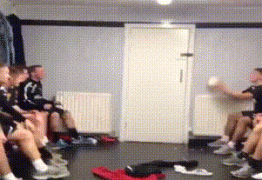 290608_747710.jpg.gif