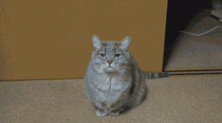 1411660115_56461719.gif