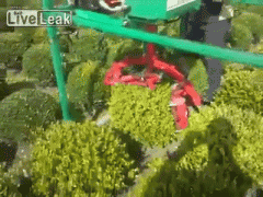 gif-26092014-005.gif