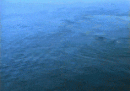 1410662188_756cd2886f46009e3d5e535467a.gif