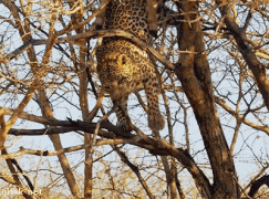 gif-26092014-001.gif