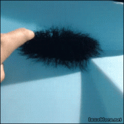 1411230956_54884ef9ed20d609fc57c489af7.gif
