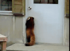 1411787393_1410675717_09.gif