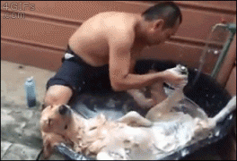 1410356259_1410184691-eb688583aac581c2b1ee3f6c362d9f19.gif