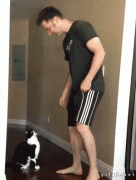 1410264764_165a96c0feb3c846b3eb211600a6fc4a.gif