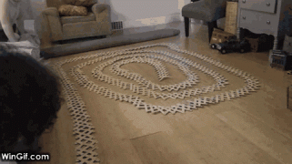 1410787629_b3c41f5f1684c3a5dba4cebc352.gif