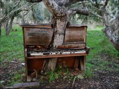 nature-reclaiming-civilization-001.jpg