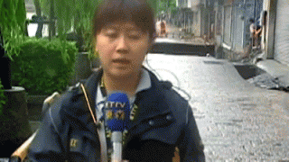 1410404688_catsmob_daily_picdump_04402_033.gif