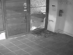 1410119297_330ecd3cab48d4b8deda7ebde88.gif