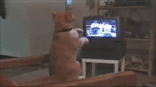 1409943145_gifs_18.gif