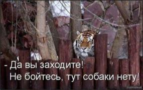 1410412056_img_356964748_68265_1.jpg