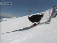 1410662195_620f83fe2dacd03d6de947e77c8.gif