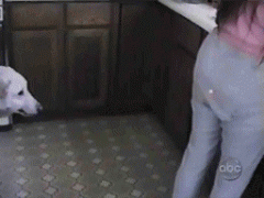 289833_743905.jpg.gif