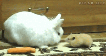 1410741508_db78fa3d3602ed0b79bd07f3915.gif