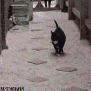 1410572011_uldmmd41.gif