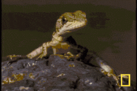 1410356396_abedad4064a5e740681e36ca5159d1f8.gif